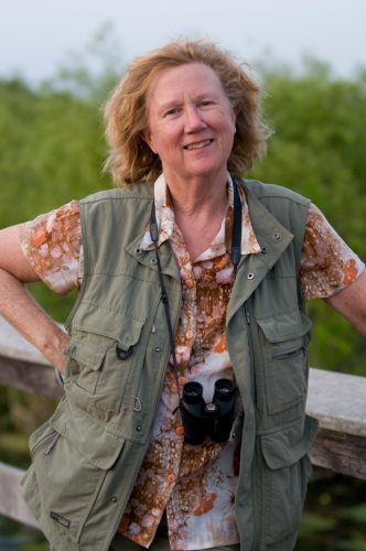 Holly in the Everglades